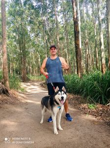 Publicação do Livro A Figueira - A sabedoria dos imortais.