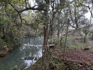 Um sonho em meio a natureza 