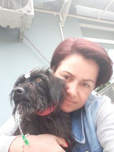 Ajude a Alegria Alegrar!