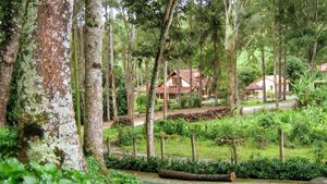 Chácara das Lendas e Canções - Resiliência às Mudanças Climáticas