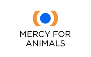DOE LIBERDADE - MERCY FOR ANIMALS