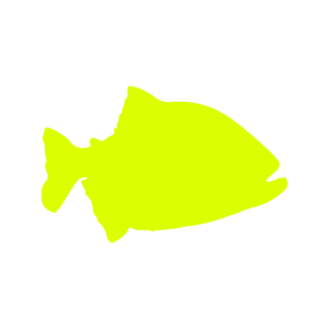 Vaquinha Pós Furto no DB.