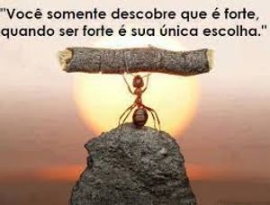 Me ajude há ter um lar