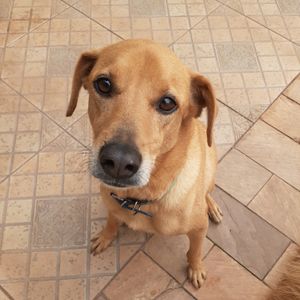 Nos ajude a mudar para Portugal com a mamãe 