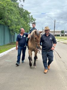 Vakinha em prol da Construção da nossa Sede da Equoterapia