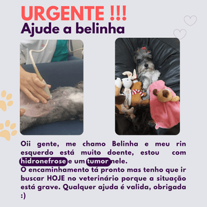 Ajude a BELINHA!!!