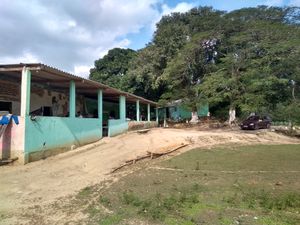 Vaquinha pela compra do sítio Abravica. Ajude!!