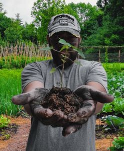 Projeto Vida Autossuficiente