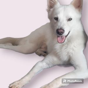 Ajude Stark a Mudar de vida <3 