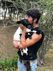 Alimentação Mensal dos Animais do Santuário Março/2023