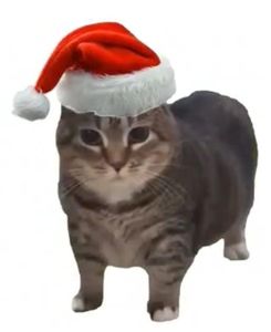 CrowdFunding KingCrowler