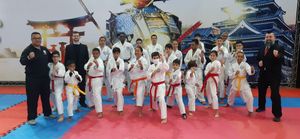 #projetobushidokarateshotokan-znsp