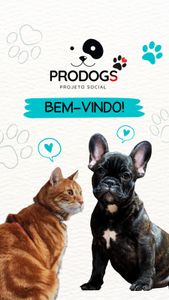 Prodogs