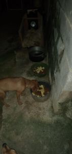 Ajudar a quem fala com os olhos 