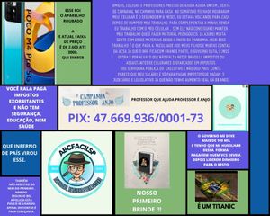 A familia do Gatinho Mané Brasileiro Kwai precisa da sua ajuda entenda o porquê