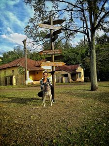 ReComeço pra mim e pra Violeta 