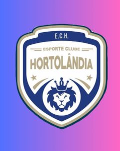 Apoie o futsal feminino! 