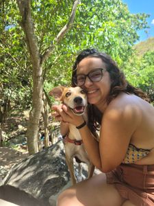 Ajude Maria do Bairro a vencer a Leishmaniose Visceral Canina