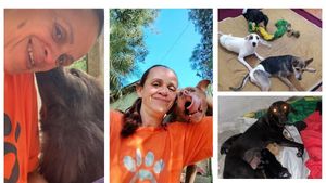 NÃO DEIXE QUE MAIS DE 70 ANIMAIS VÃO PARA A RUA