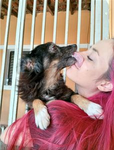 AJUDE OS NOSSOS ANJINHOS DE QUATRO PATAS