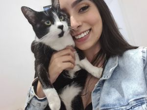 Tratamento contra PIF para a Sushi