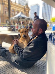 Raio e Estrela. Patas na estrada...