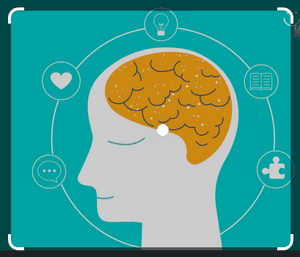 Tratamento Psiquiatrico