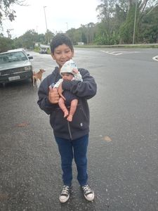 Para compra do medicamento Canabidiol