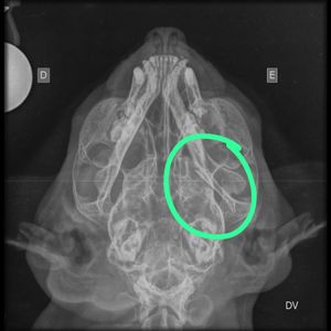 juntos com a sol!❤️