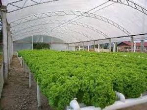 Automação hidropônica 