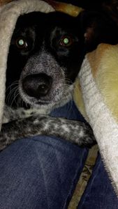 Vamos ajudar a Nega!!!