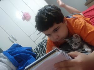 Ajude os pets resgatados 