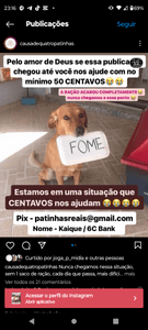CAMPANHA ANIMAIS 