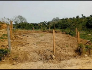 Preciso de ajuda para saí do aluguel 