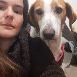 Ajude um focinho carente