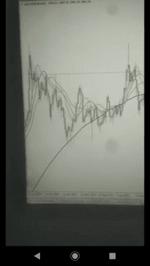VIVER DE FOREX 4 ANOS ESTUDANDO IMERSO 