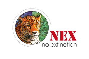 Instituto NEX: nos ajude a garantir a sobrevivência do Nex e das Onças