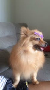 Pela saúde da meggie