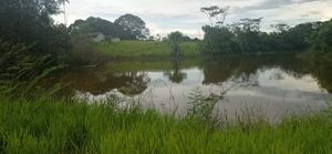 Food for the Katukina people