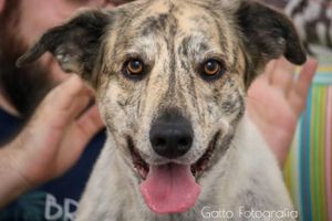 Céu quer nadar em uma cachoeira novamente!!!