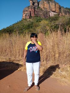 Quero arrecadar dinheiro para comprar a minha casa própria e meu caminhonete