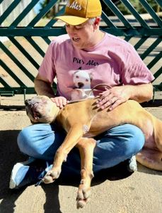 Nossos resgatados precisam da sua ajuda!! 