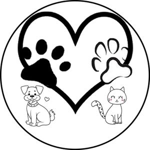 Alimentação para animais de rua