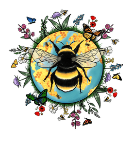 Nos ajude a salvar ecossistemas no Brasil