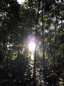 Cultivo Agroecológico