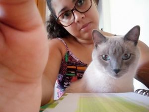 Ajude meu gatinho Koda 