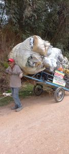 Ajudar a minha família 
