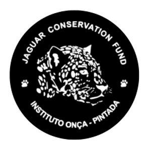 O Instituto Onça-Pintada precisa da sua ajuda