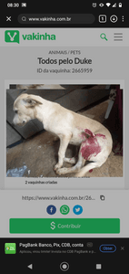 Cirurgia para voltar a andar 