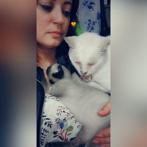 🆘Ajuda urgente para a Construção de um gatil para 30 gatos resgatados das ruas